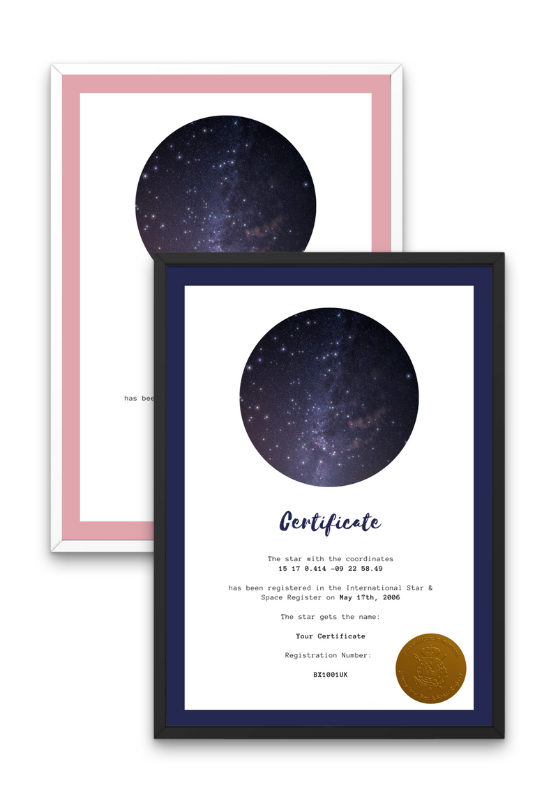 Modern Nightblue & Modern Light Rose image